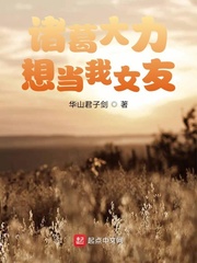 诸葛大力想当我女友 cover 封面