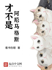 霍格沃茨的德鲁伊大师 cover 封面
