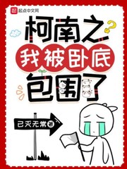 柯南之我被卧底包围了 cover 封面
