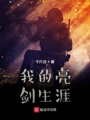 我的亮剑生涯 cover 封面
