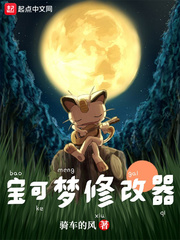 宝可梦修改器 cover 封面