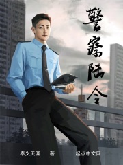 警察陆令 cover 封面