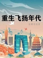 重生飞扬年代 cover 封面