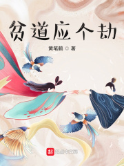贫道应个劫 cover 封面