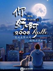 你好啊！2008 cover 封面