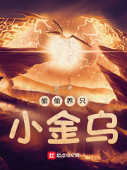 偷偷养只小金乌 cover 封面