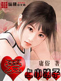 爱上小姨子 cover 封面