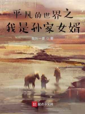 平凡的世界之我是孙家女婿 cover 封面