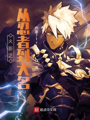 从忍者到大名 cover 封面