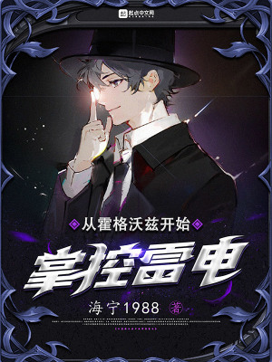 从霍格沃兹开始掌控雷电 cover 封面