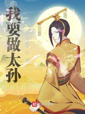 我要做太孙 cover 封面