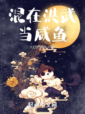 混在洪武当咸鱼 cover 封面