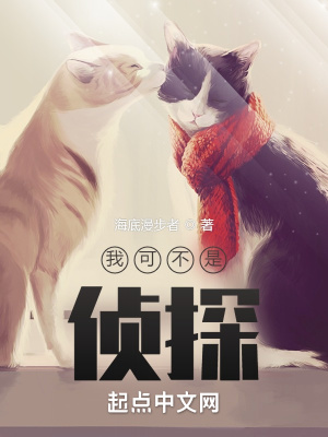 我可不是侦探 cover 封面