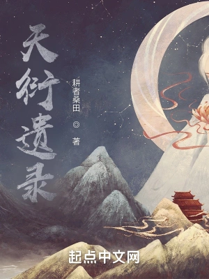 天衍遗录 cover 封面