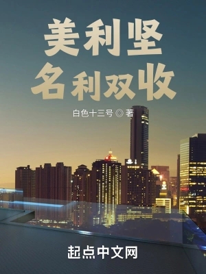 美利坚名利双收 cover 封面
