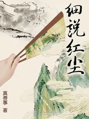 细说红尘 cover 封面