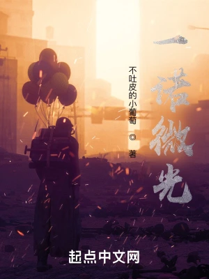 一诺微光 cover 封面