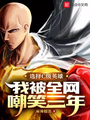 选择C级英雄，我被全网嘲笑三年 cover 封面