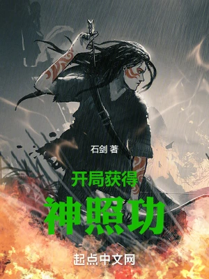 开局获得神照功 cover 封面