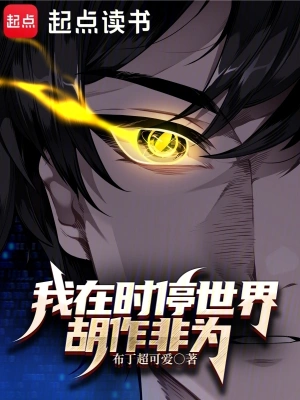 我在时停世界胡作非为 cover 封面