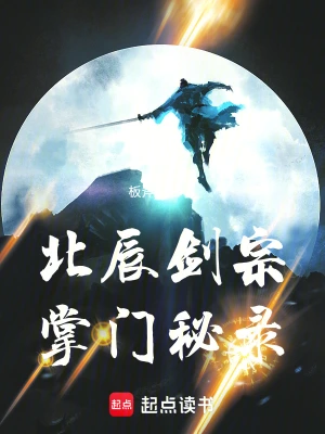 北辰剑宗掌门秘录 cover 封面