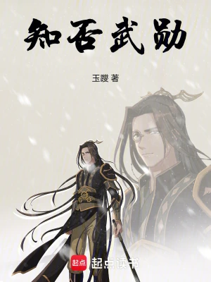 知否武勋 cover 封面