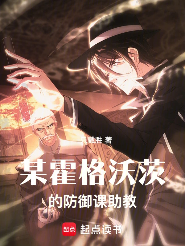 某霍格沃茨的防御课助教 cover 封面
