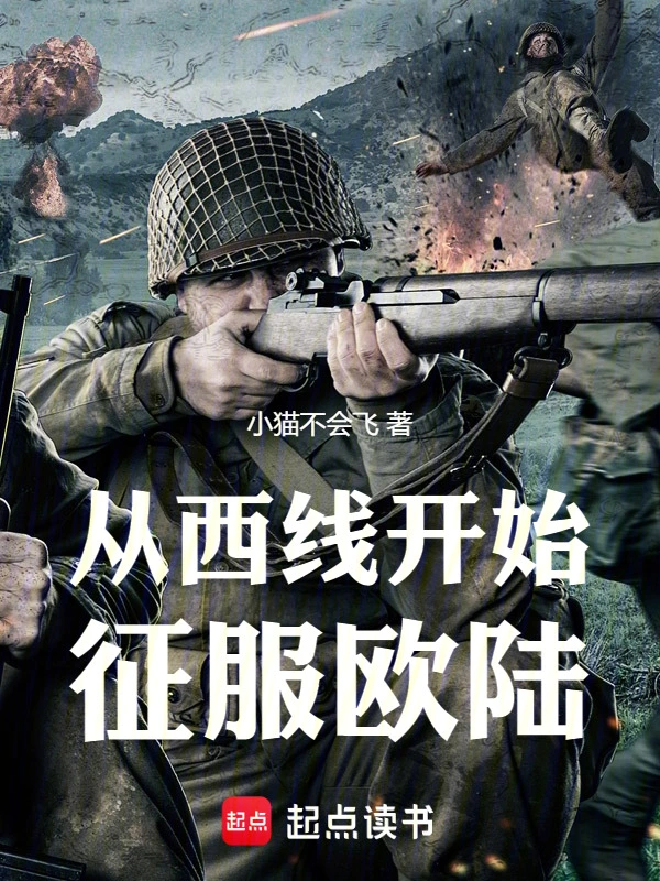从西线开始征服欧陆 cover 封面