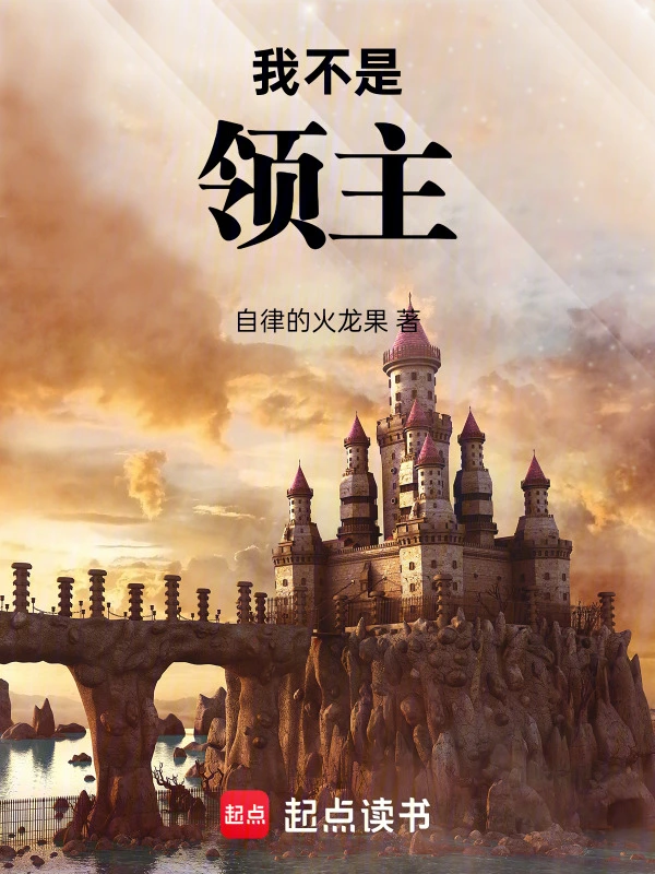 我不是领主 cover 封面