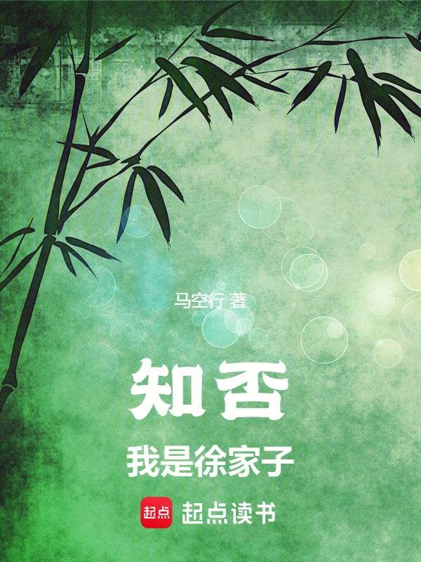 知否：我是徐家子 cover 封面