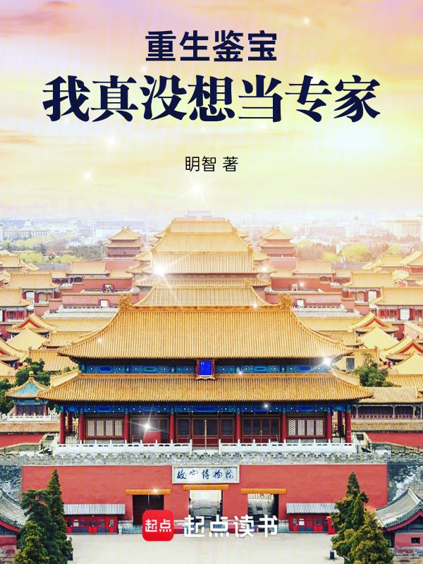 重生鉴宝：我真没想当专家 cover 封面