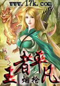 网游之王者平凡 cover 封面
