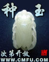 种玉 cover 封面