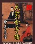 大宋金手指 cover 封面