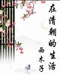 在清朝的生活 cover 封面
