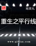 重生之平行线 cover 封面